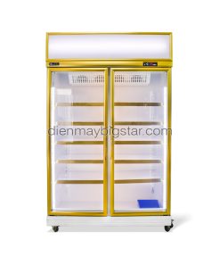 Tủ mát trưng bày 2 cánh Đài Loan DL-1200F