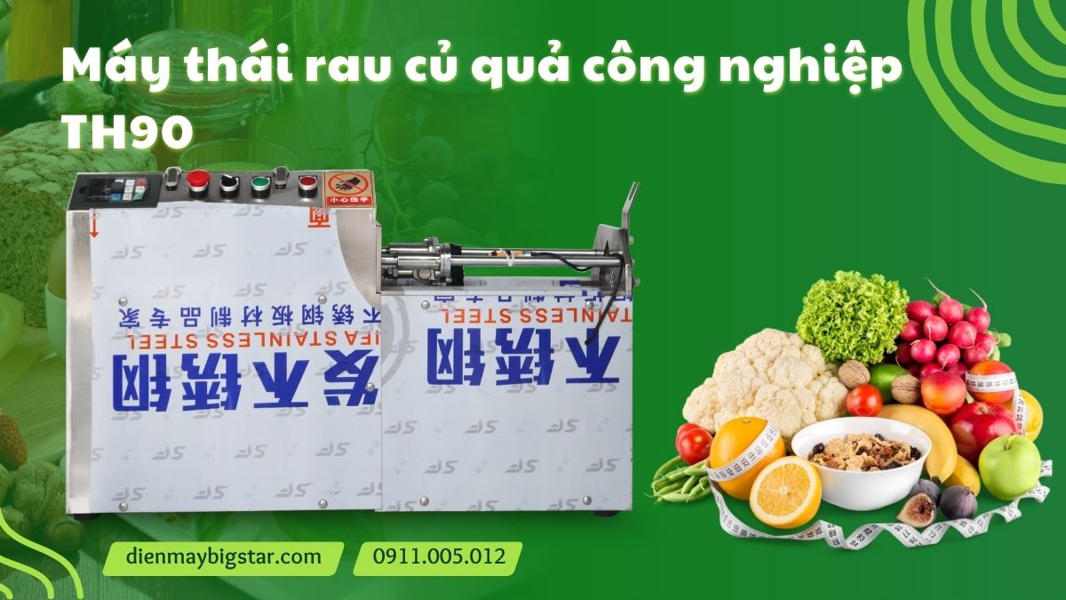 Máy thái rau củ quả công nghiệp TH90